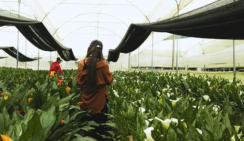 There are many variations of passages of Lorem Ipsum available, but majority have suffered teration in some form, by injected humour, or randomised words which don't look even slight believable. If you are going to use a passage of Lorem Ipsum.